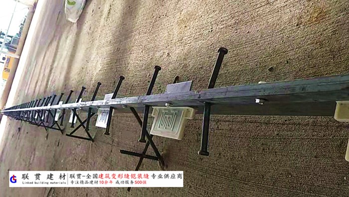 黄南市铠甲缝施工案例